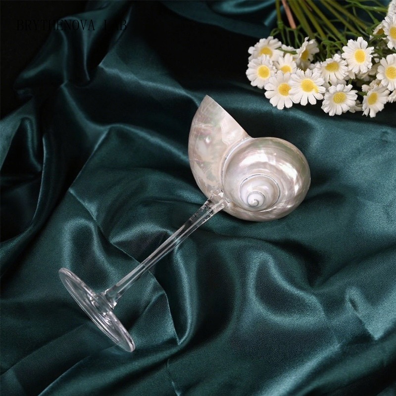 Light Luxury Conch Shell Champ - Lighting Glass Photography recension och pris