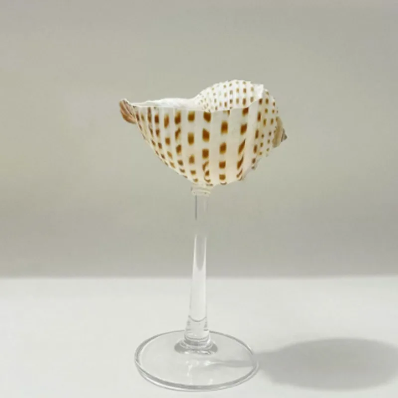 Light Luxury Conch Shell Champ - Lighting Glass Photography recension och pris