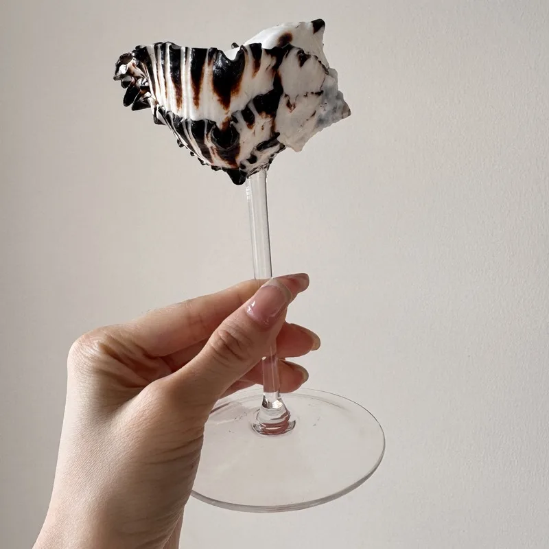 Light Luxury Conch Shell Champ - Lighting Glass Photography recension och pris