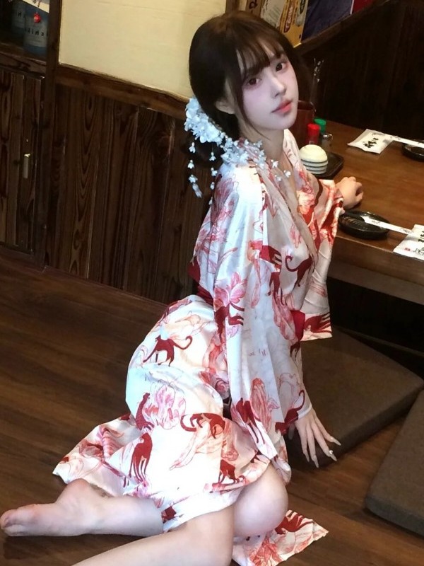 New Chinese Style Sleepwear Ha - Photography With Lighting recension och pris